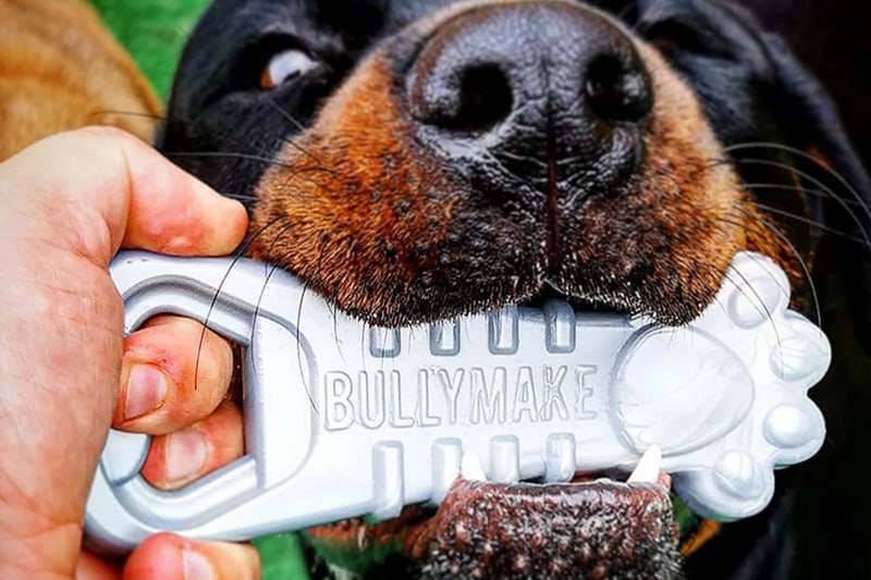 Best Toys for Aggressive Chewers: What Actually Lasts