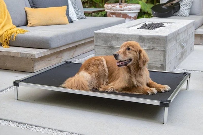 Best Indestructible Dog Beds (2026): Tested on Dogs That Destroy Everything