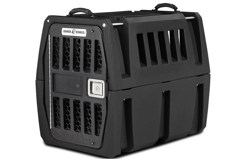 New Dog Checklist: Everything Your Dog Actually Needs (And What's a Waste of Money)