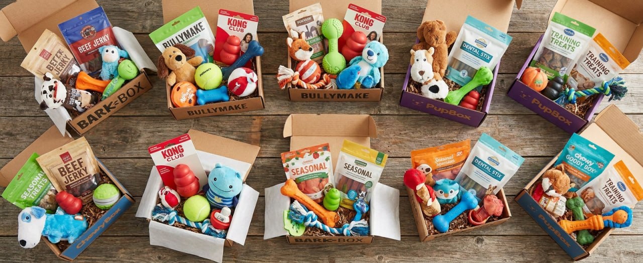 We Tested 10 Dog Subscription Boxes. Here's the Honest Truth.
