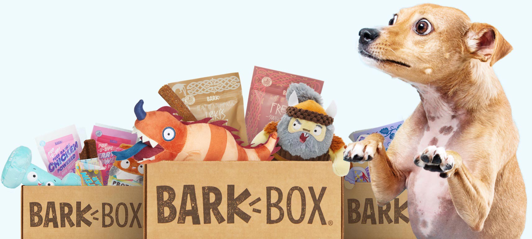 BarkBox — in article