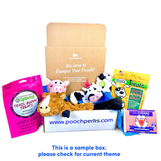 Pooch Perks — in article