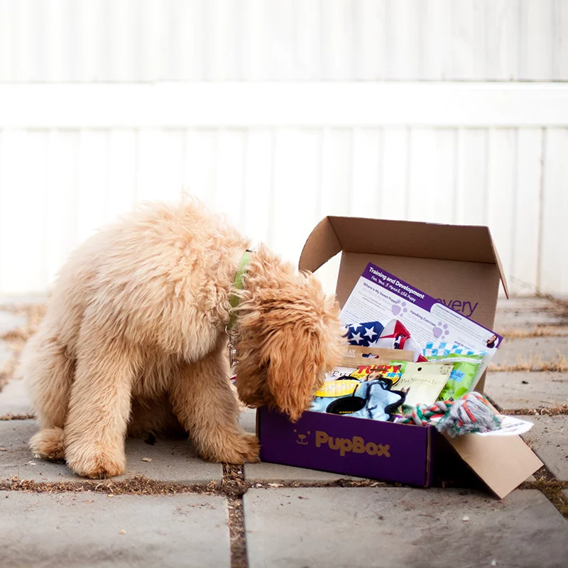 PupBox card