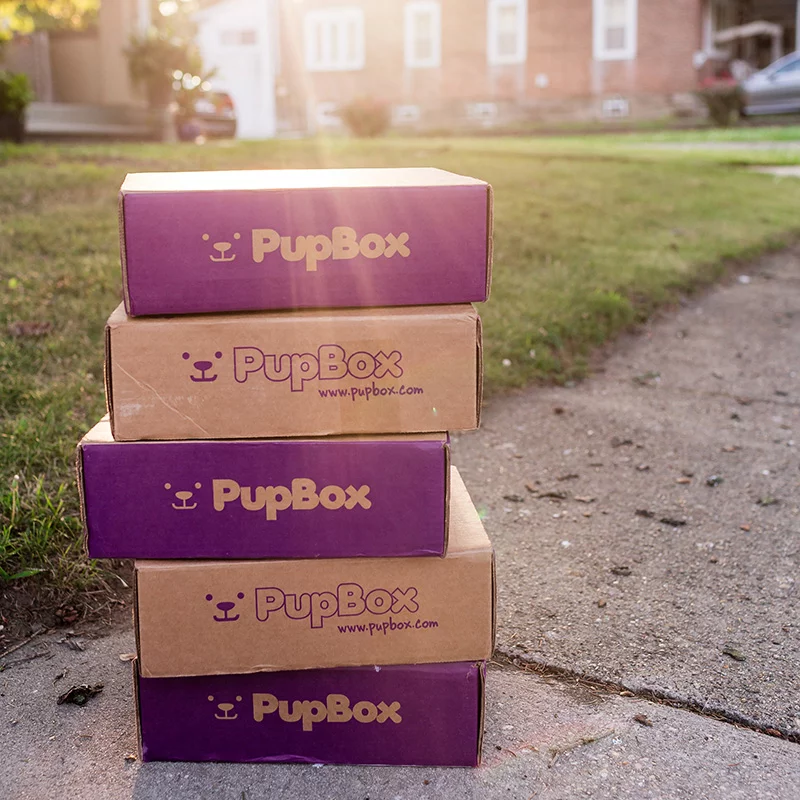 PupBox — in article