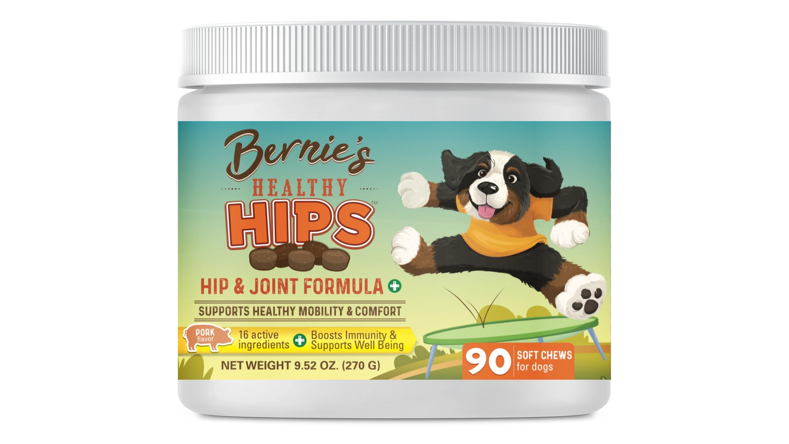 Top 5 dog hip and joint supplements